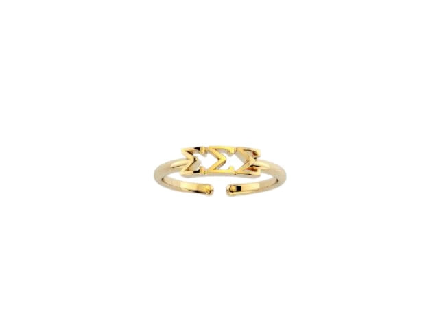 Expandable Ring